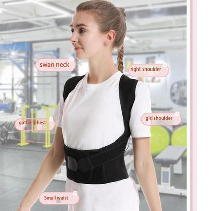 BackFit™ Pro Posture Belt